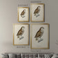 French Owls I - Modern Framed Canvas Print