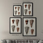 Cone Shell Collection I - Modern Framed Canvas Print