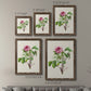 Pretty Pink Botanicals V - Premium Framed Canvas 2 Piece Set - Ready to Hang