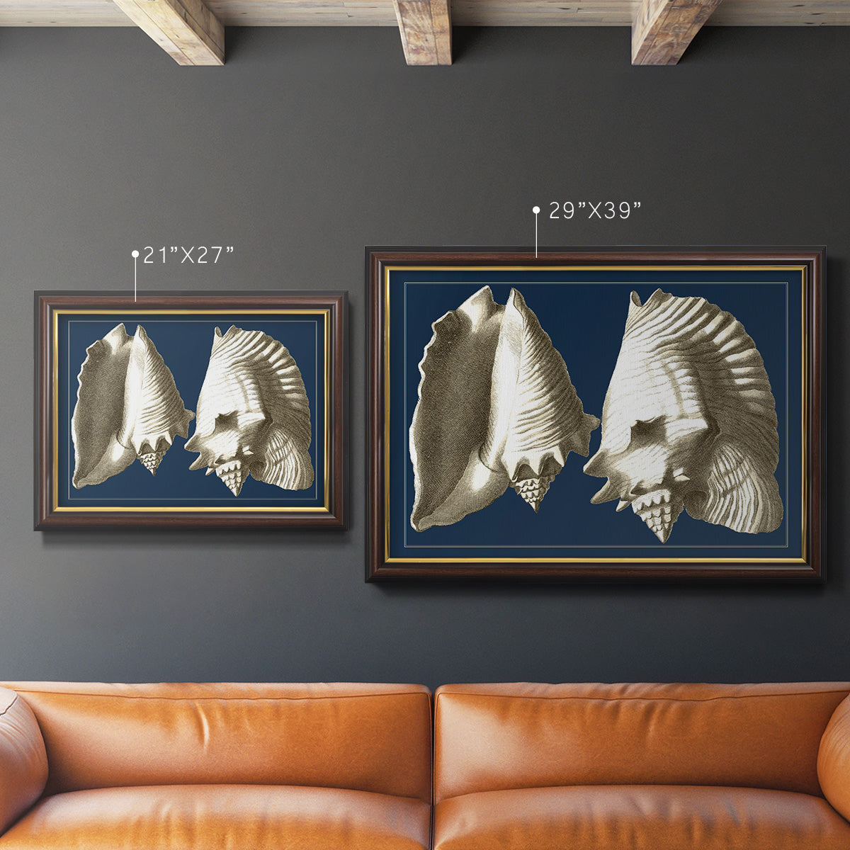 Conch Shells on Navy I Premium Framed Canvas- Ready to Hang