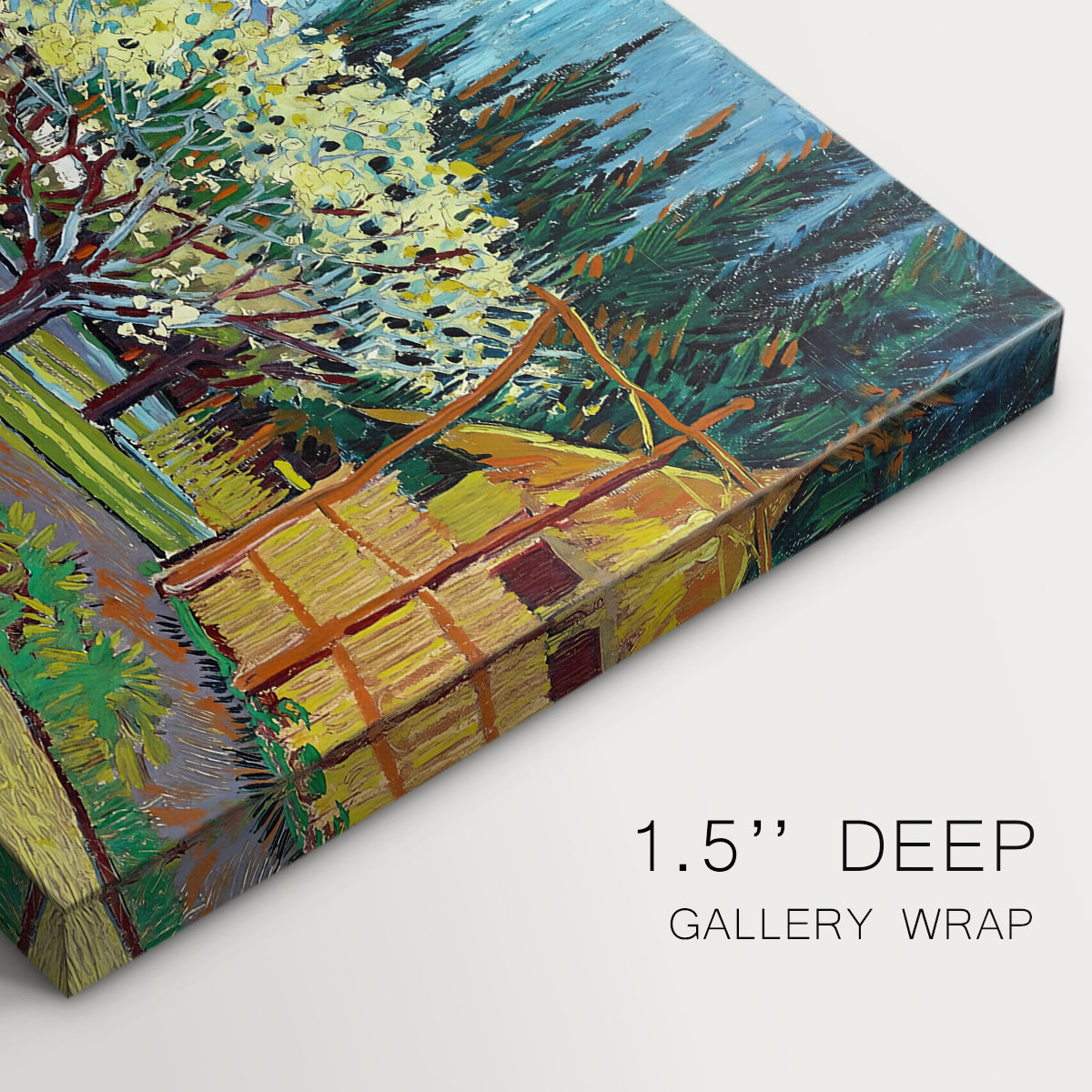Canvas art print of rows of flowering trees enclosed by tall cypress trees in orchard setting, highlighting texture and gallery-wrapped edges