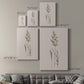 Delicate Stems II - Canvas Art Print
