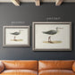 Morris Sandpipers I Premium Framed Canvas- Ready to Hang