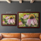 Echinacea Study I Premium Framed Canvas- Ready to Hang