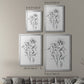 Wild Roses Sketch - Modern Framed Canvas Print