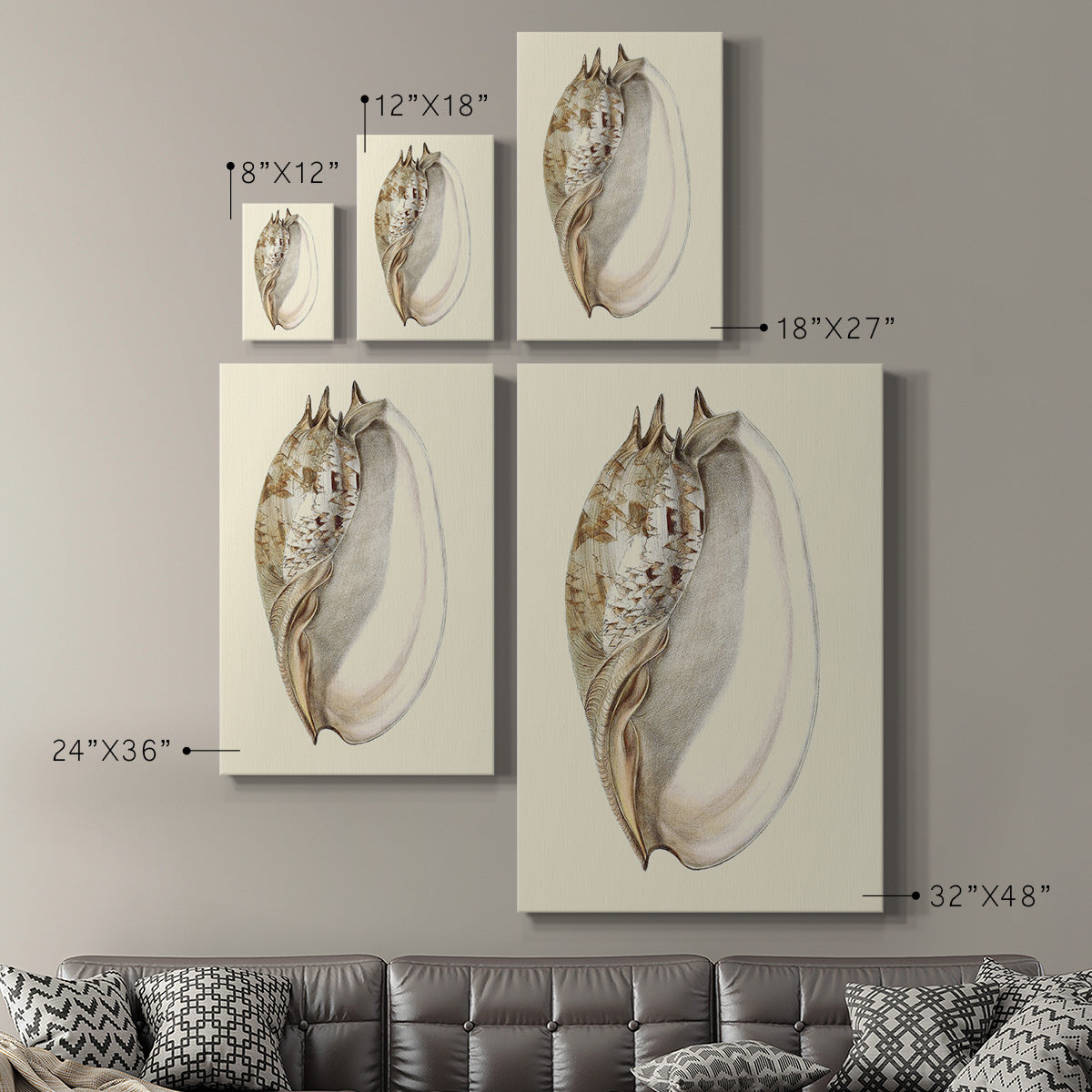 Splendid Shells IV Premium Gallery Wrapped Canvas - Ready to Hang