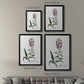 Rose Botanical I - Modern Framed Canvas Print