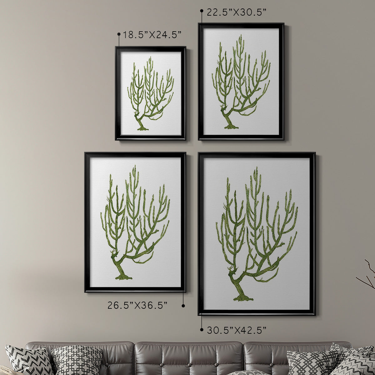 Coral Souvenirs III - Modern Framed Canvas Print