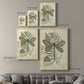 Regal Dragonfly II (PP)  - Canvas Art Print