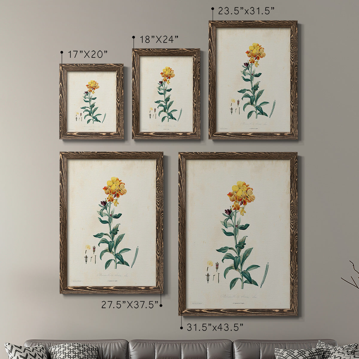 Traditional Botanical III - Premium Framed Canvas 2 Piece Set - Ready to Hang