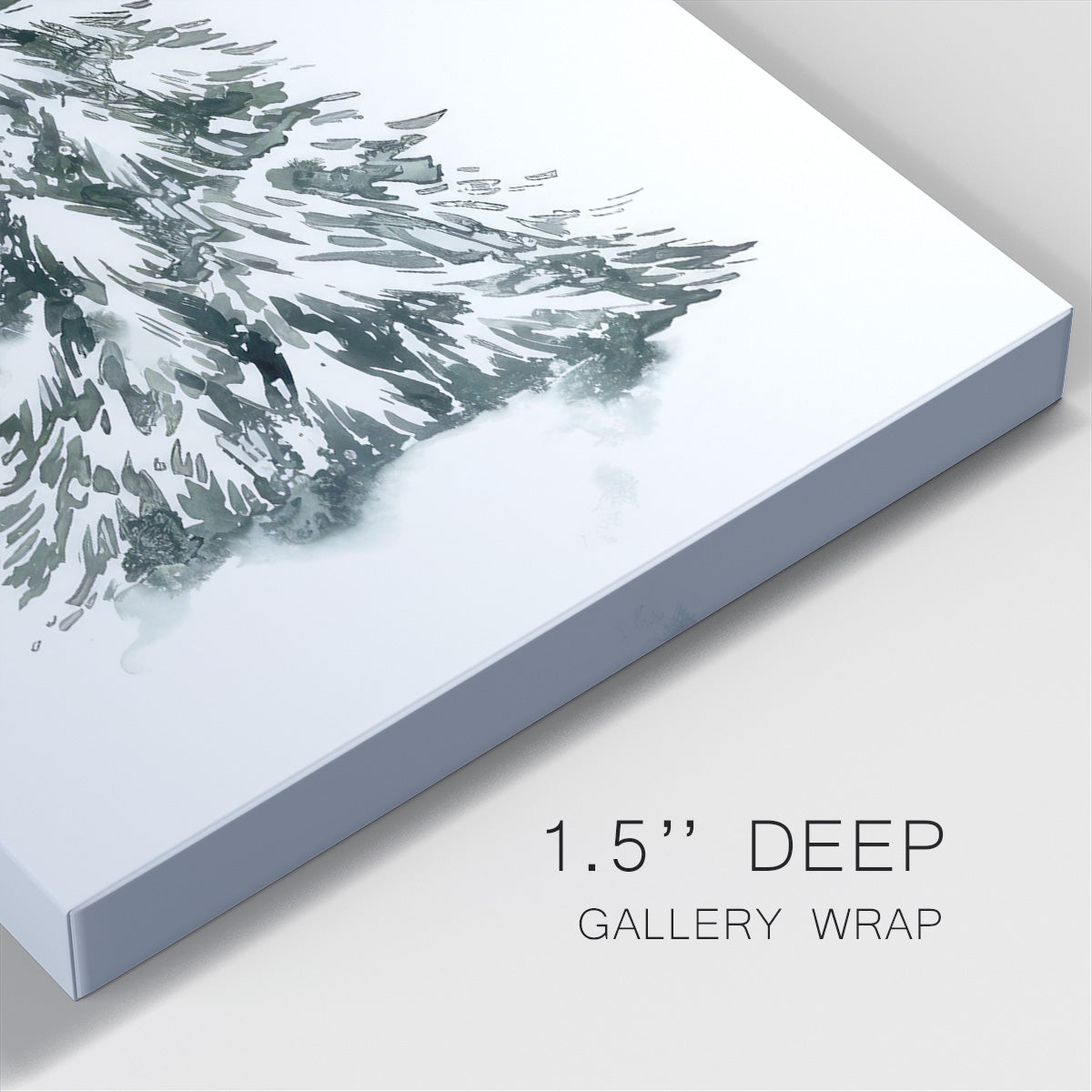 Blue Spruce II - Gallery Wrapped Canvas