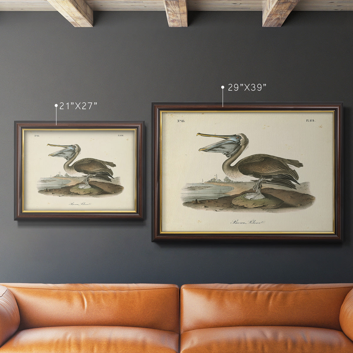 Audubons Brown Pelican - Ornate Framed Canvas Print