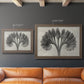 Vintage botanical plant study photograph by Karl Blossfeldt in an ornate traditional bronze frame shown in multiple size options.
