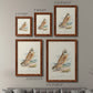 Hawk Owl - Premium Framed Canvas 2 Piece Set - Ready to Hang