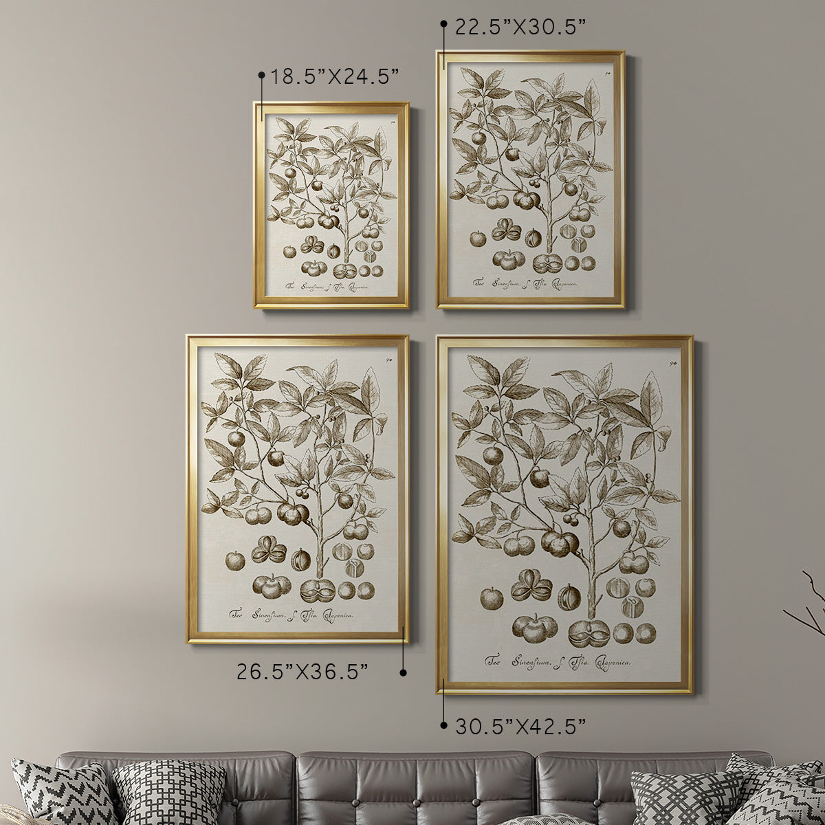 Sepia Botanical Journal II - Modern Framed Canvas Print