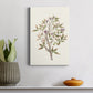 Twig Study II Premium Gallery Wrapped Canvas - Ready to Hang