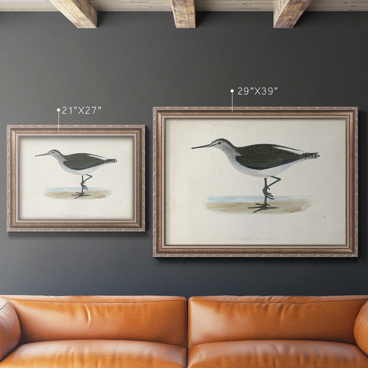 Morris Sandpipers VI Premium Framed Canvas- Ready to Hang