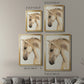 Golden Palomino II - Modern Framed Canvas Print