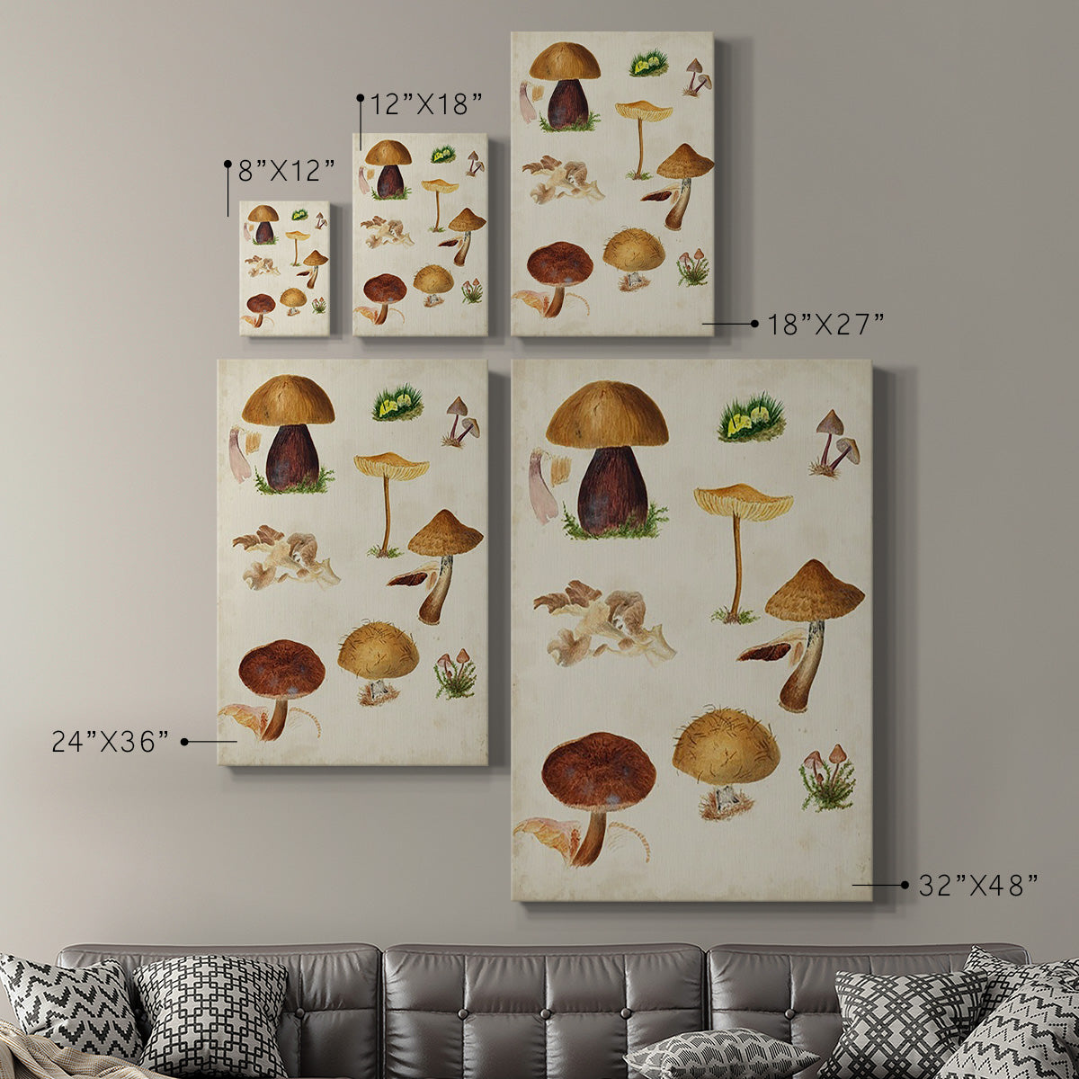 Mushroom Species II Premium Gallery Wrapped Canvas - Ready to Hang