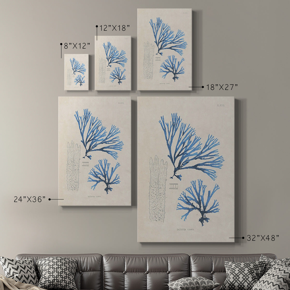 Blue Marine Algae V - Canvas Art Print