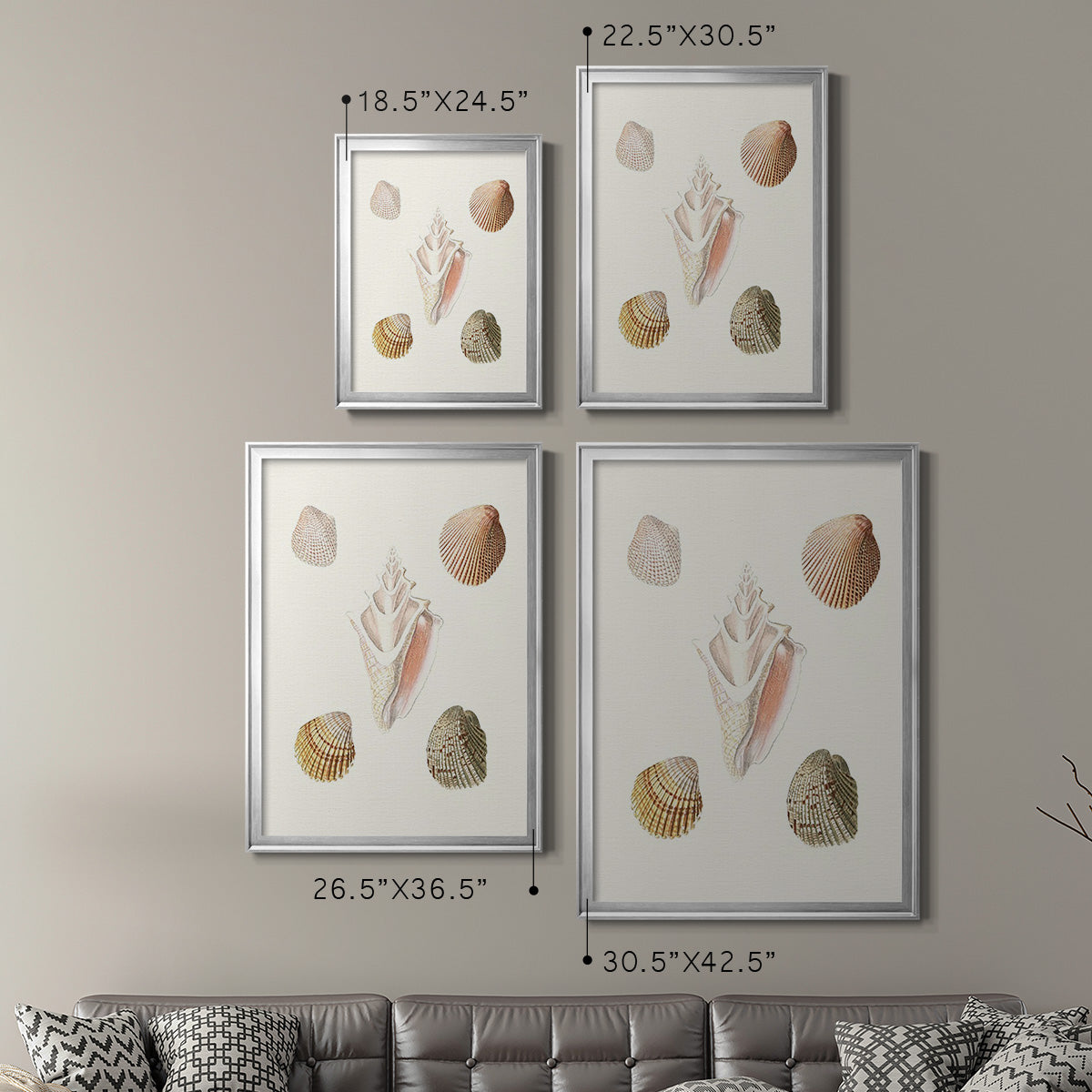 Pastel Knorr Shells IX - Modern Framed Canvas Print