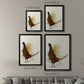 Pheasant Splash 8 - Modern Framed Canvas Print