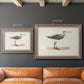 Morris Sandpipers I Premium Framed Canvas- Ready to Hang