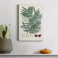 Collected Ferns VIII Premium Gallery Wrapped Canvas - Ready to Hang