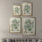 Buchoz Tropicals IX - Modern Framed Canvas Print