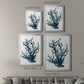 Coral Souvenirs IV - Modern Framed Canvas Print