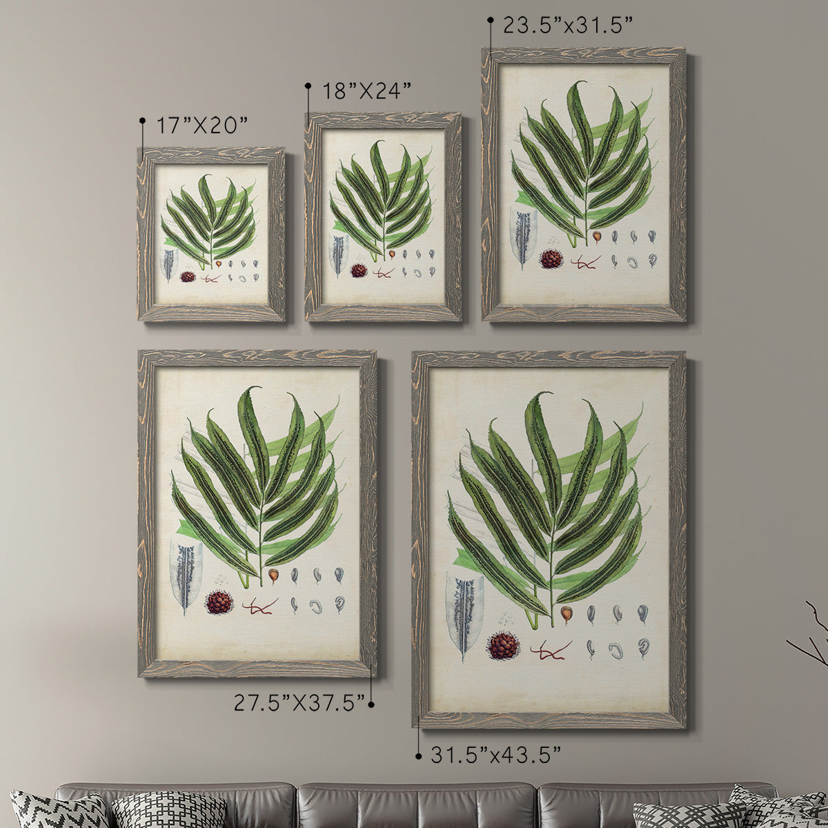 Size comparison chart for a set of two gray barnwood framed canvas prints.