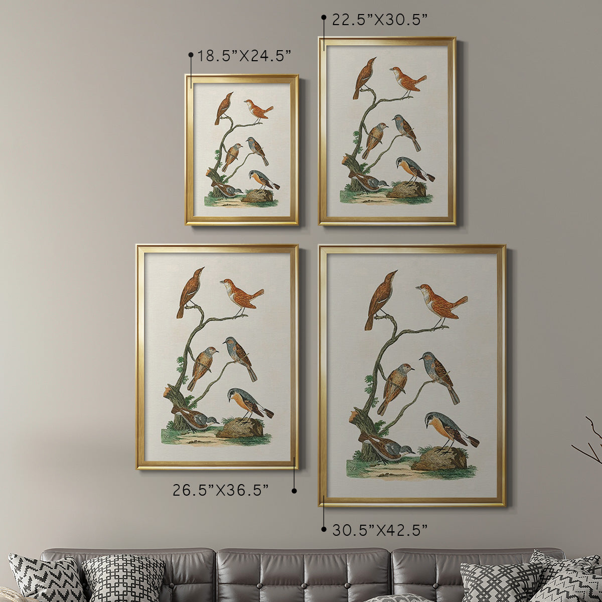 Antique Birds in Nature IV - Modern Framed Canvas Print