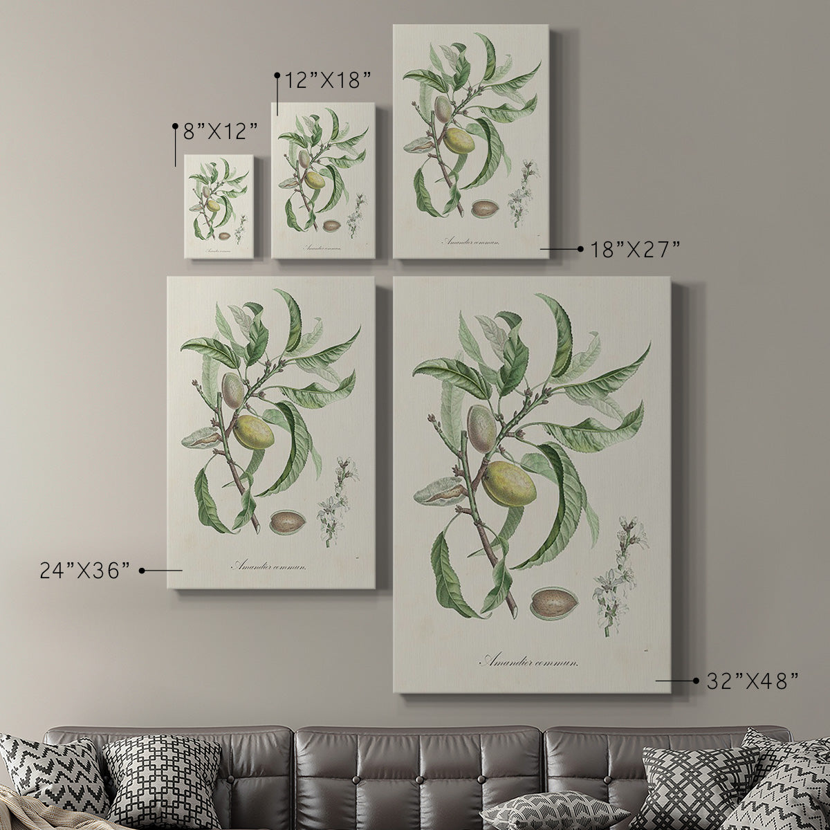 Antique Almond Botanical IV Premium Gallery Wrapped Canvas - Ready to Hang