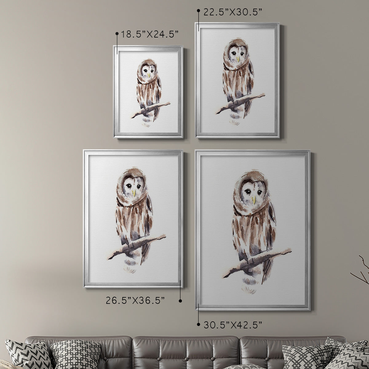 Barred Owl Impressions I - Modern Framed Canvas Print