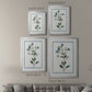 Shabby Chic Botanical II - Modern Framed Canvas Print