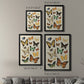 Collected Flutter I - Modern Framed Canvas Print