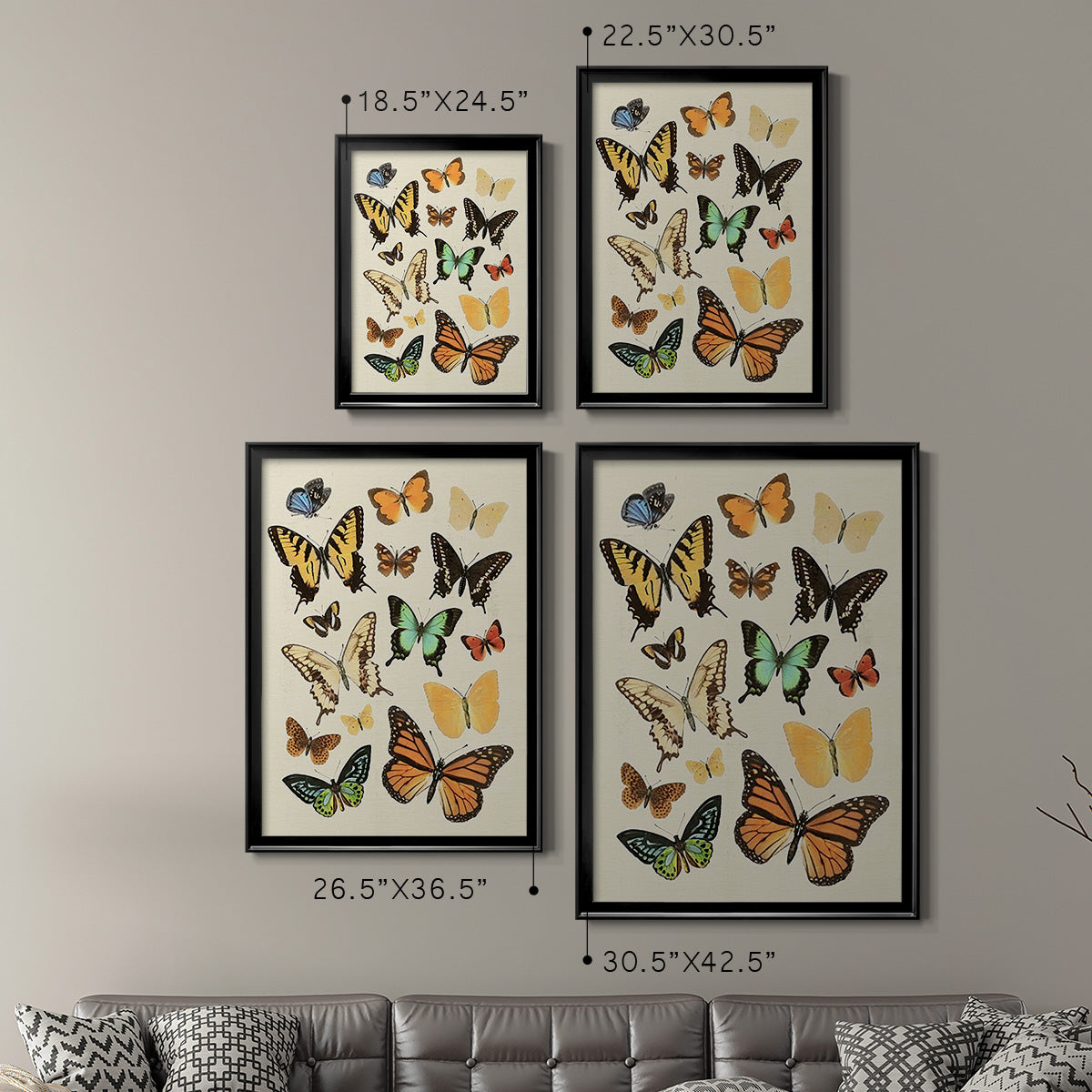 Collected Flutter I - Modern Framed Canvas Print