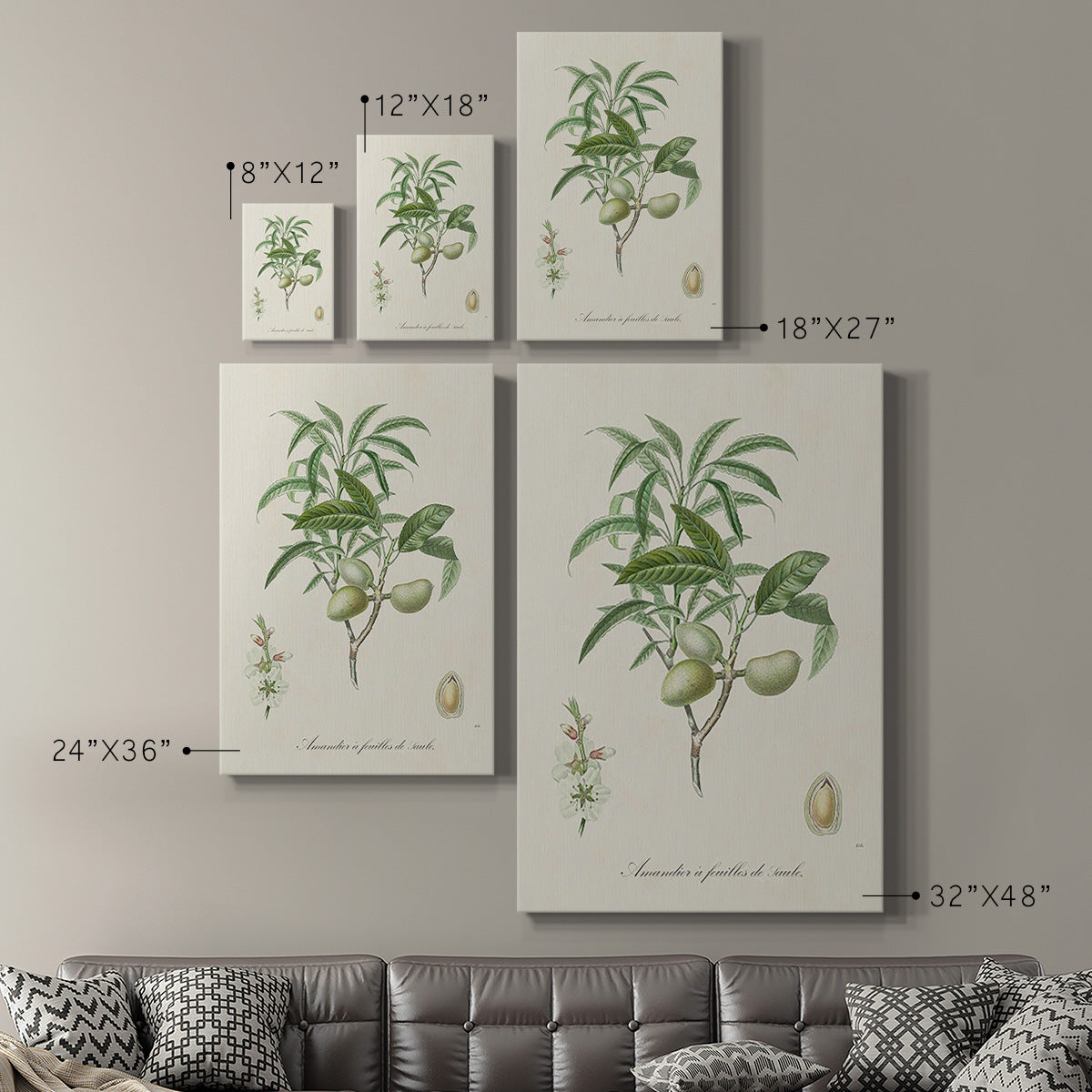 Antique Almond Botanical II Premium Gallery Wrapped Canvas - Ready to Hang