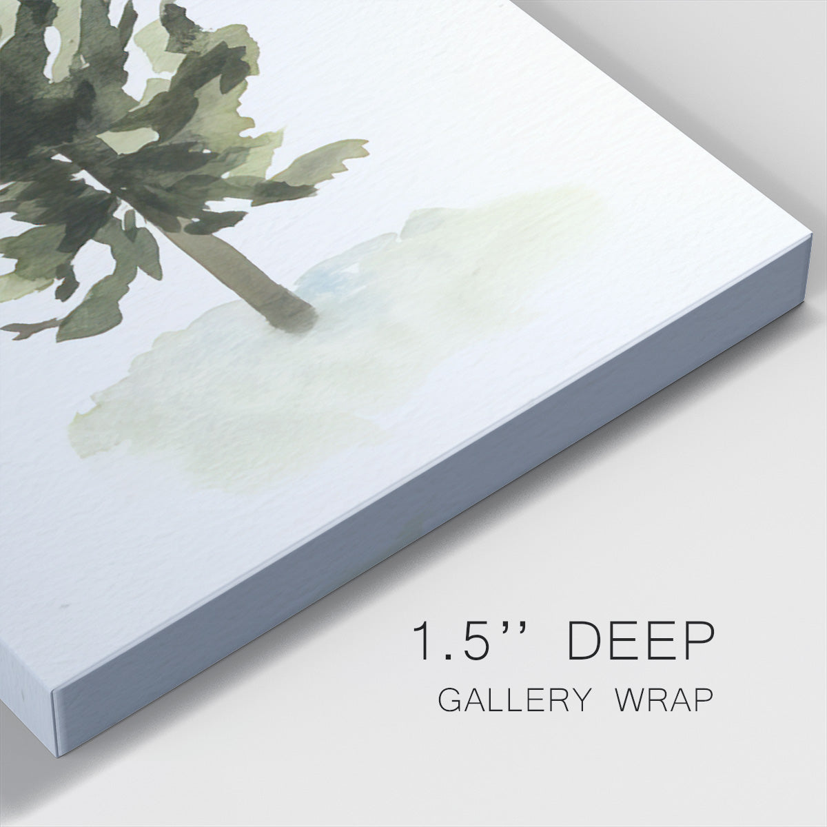 Watercolor Pine I - Gallery Wrapped Canvas