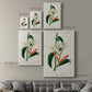 Turpin Tropical Botanicals IX - Canvas Art Print