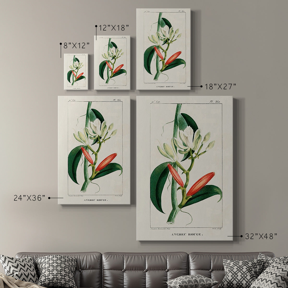 Turpin Tropical Botanicals IX - Canvas Art Print