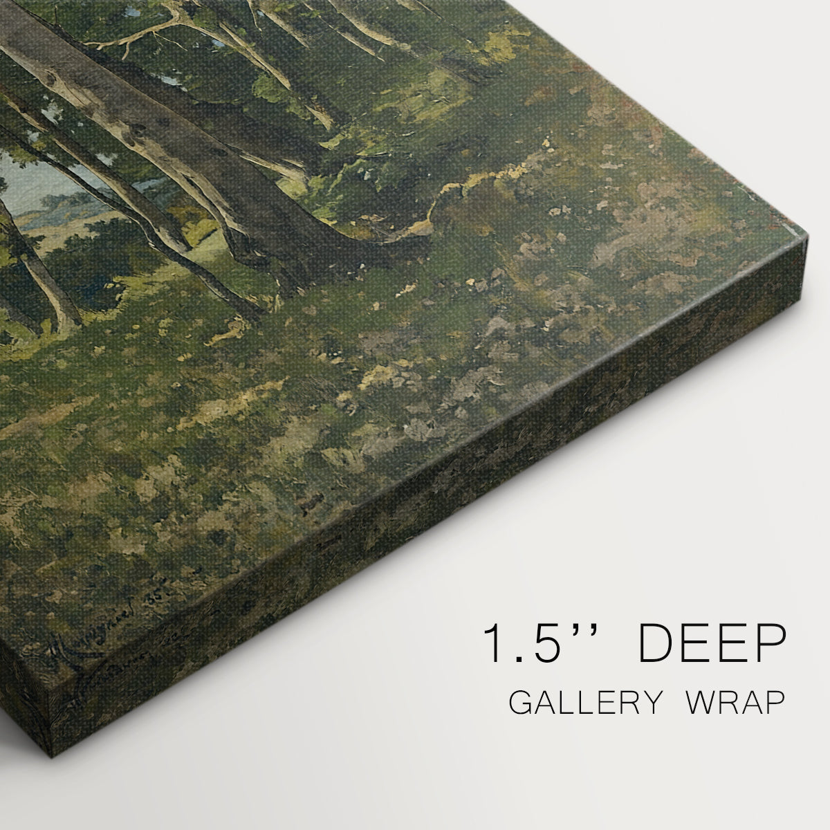 Close-up of a gallery-wrapped canvas corner showing a quiet nature composition with subtle detail, highlighting texture and print detail.