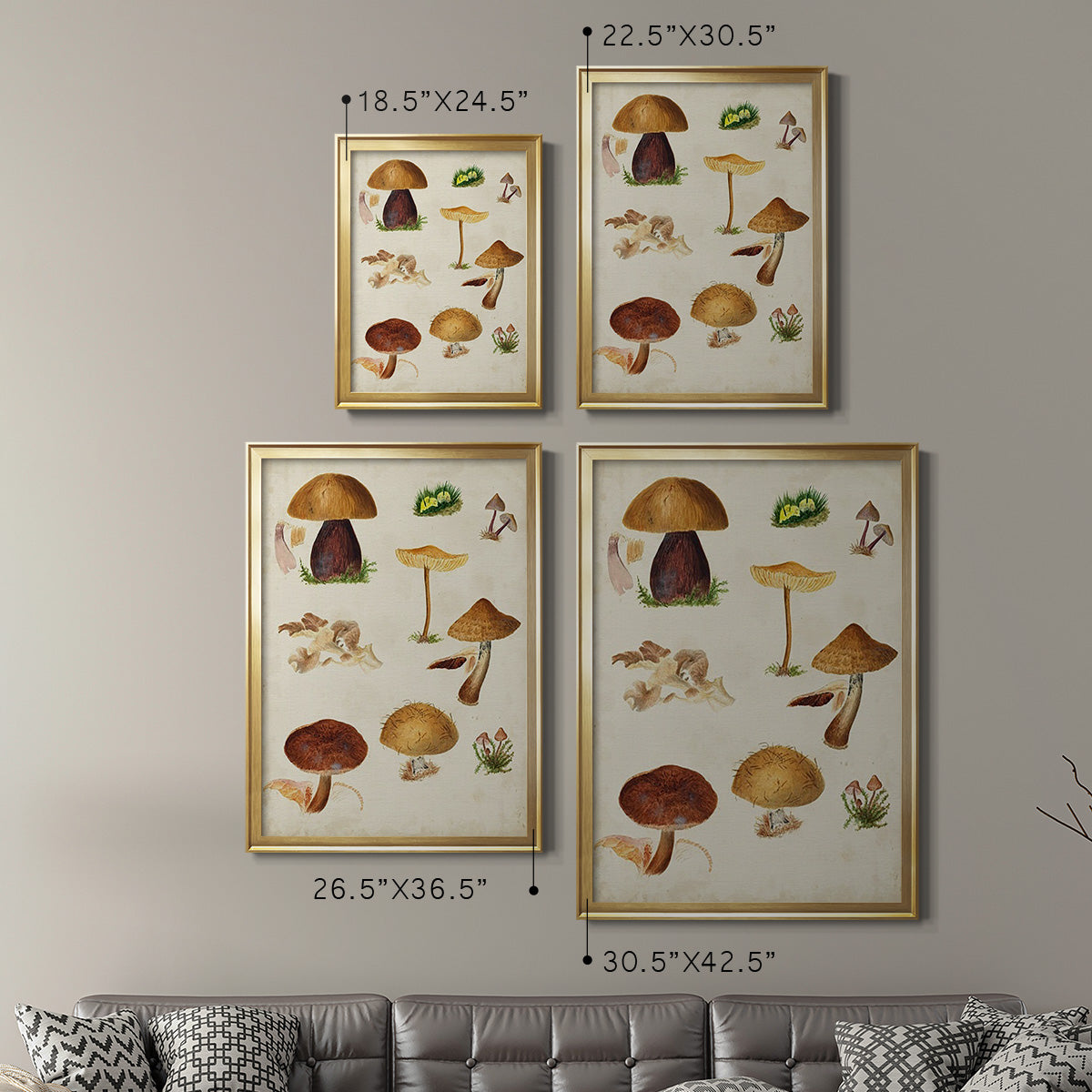 Mushroom Species II - Modern Framed Canvas Print