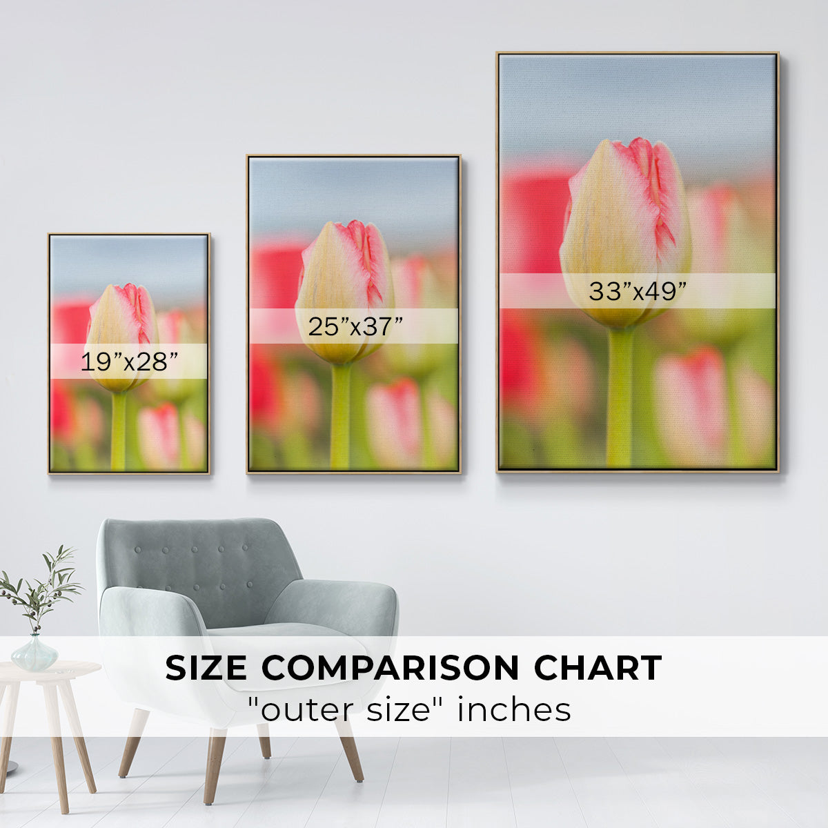 Twotone Tulip -  Framed Canvas Print