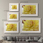 Blooms I - Barnwood Framed Art Print