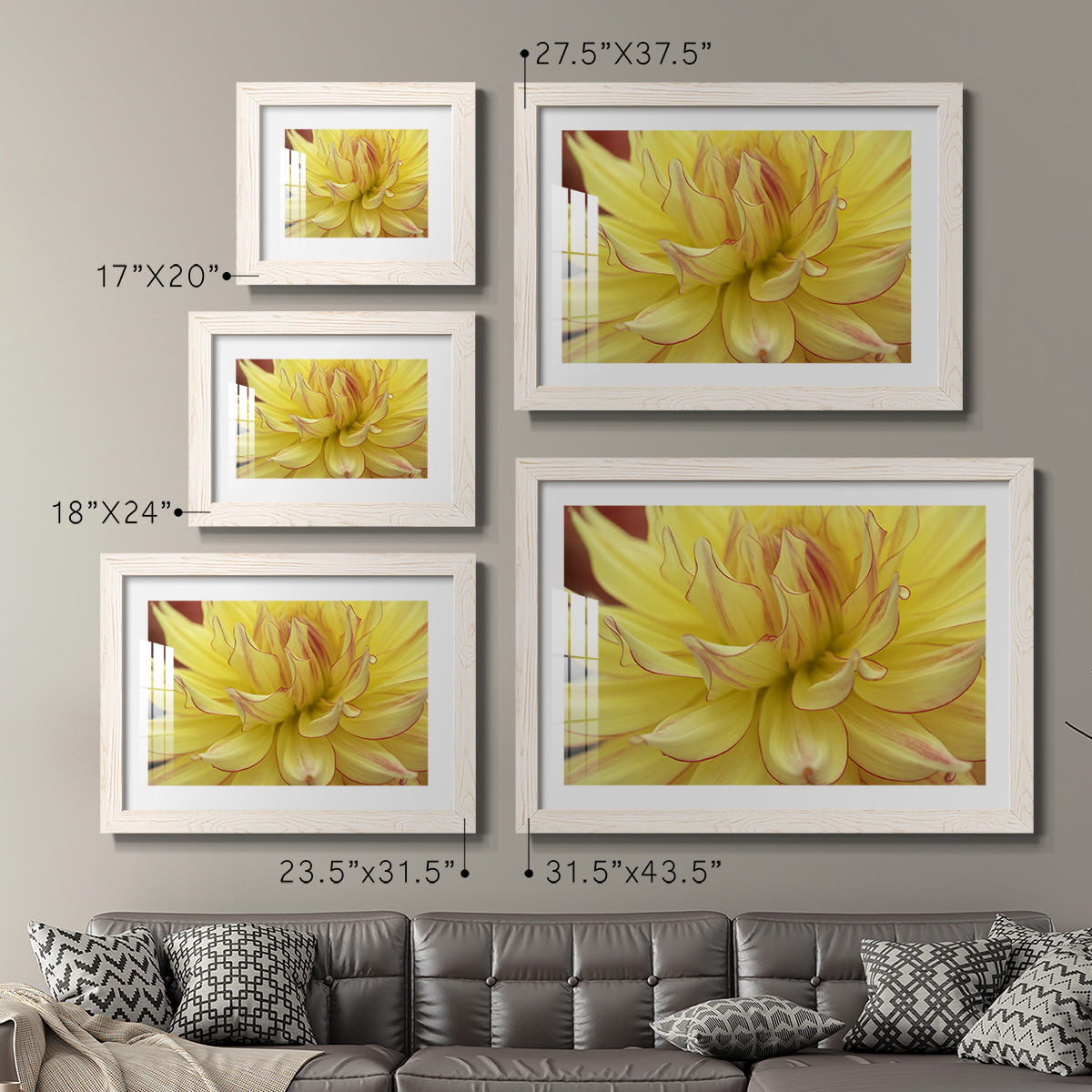 Blooms I - Barnwood Framed Art Print