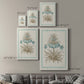Willow Blue Besler II - Canvas Art Print