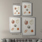 Pastel Knorr Shells VIII - Modern Framed Canvas Print