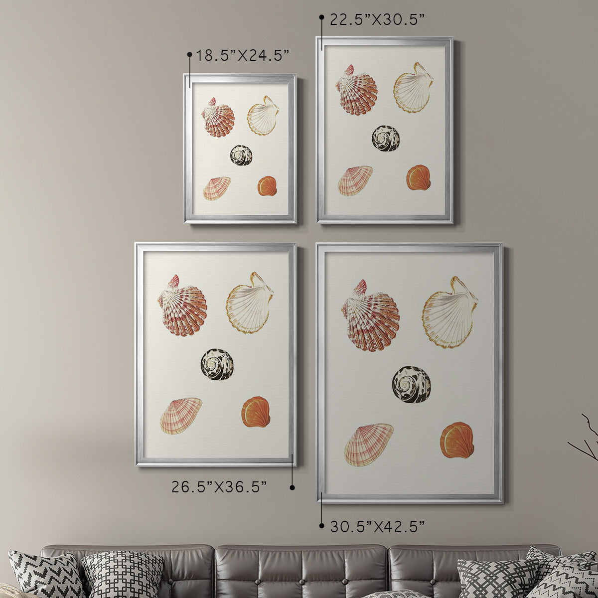 Pastel Knorr Shells VIII - Modern Framed Canvas Print