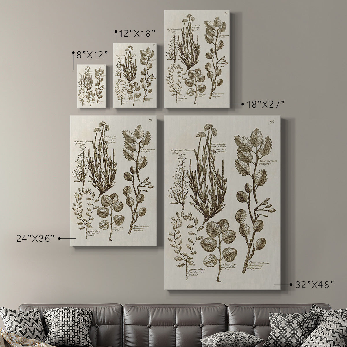 Sepia Botanical Journal VIII - Canvas Art Print